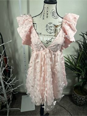 S389. Mabel x Petal & Pup Raelyn Pink Butterfly Appliqué Mini Dress Size Small